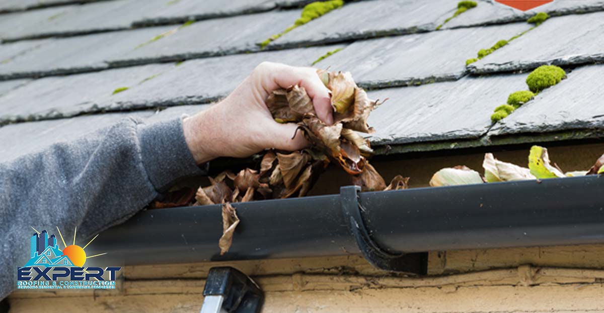 roof maintenance | Fort Myers